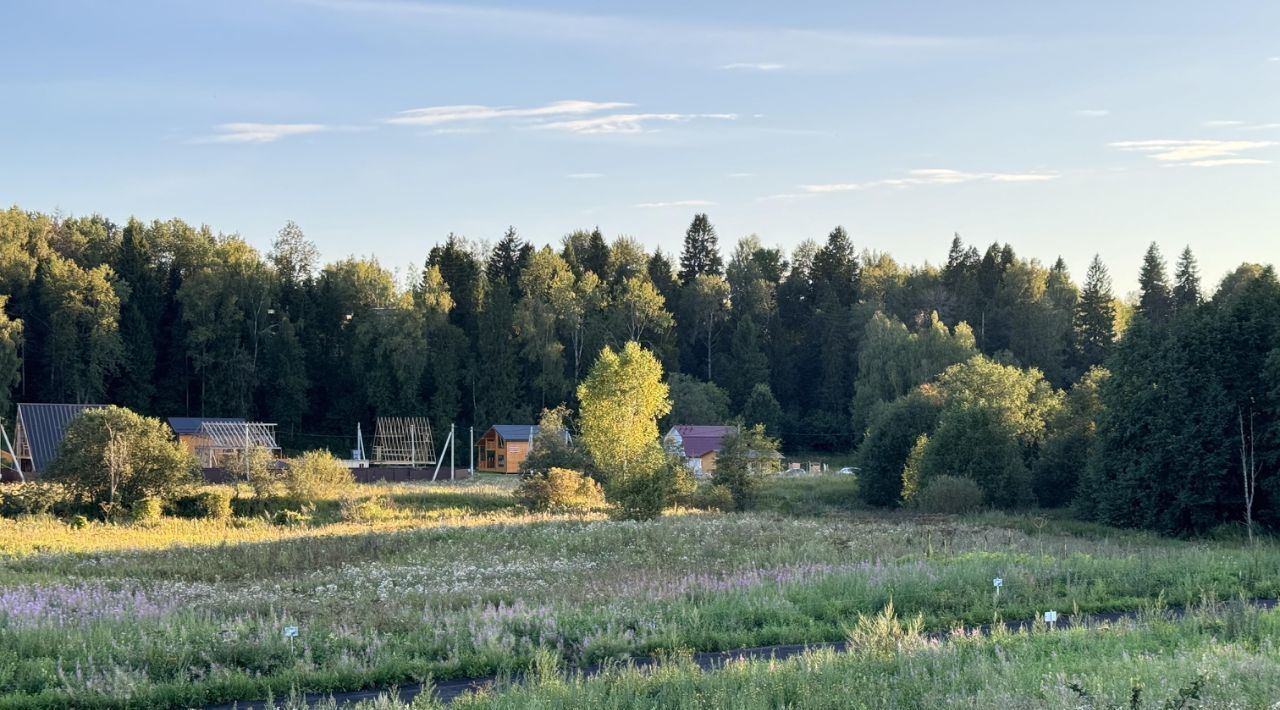 земля городской округ Дмитровский Форест Клаб кп, 4 фото 12