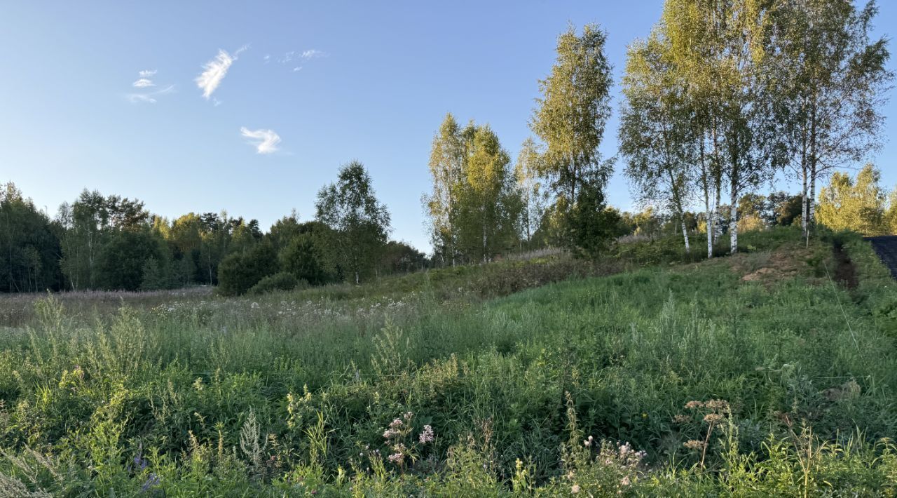 земля городской округ Дмитровский Форест Клаб кп, 27 фото 13