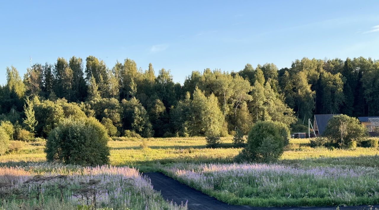 земля городской округ Дмитровский Форест Клаб кп, 35 фото 10