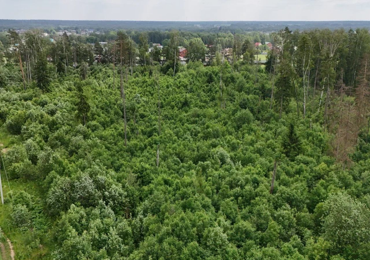 земля городской округ Щёлково д Мишнево ул Садовая 132 30 км, Фрязино, Щёлковское шоссе фото 6