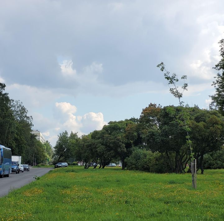 квартира г Санкт-Петербург метро Проспект Ветеранов пр-кт Народного Ополчения 231 фото 18