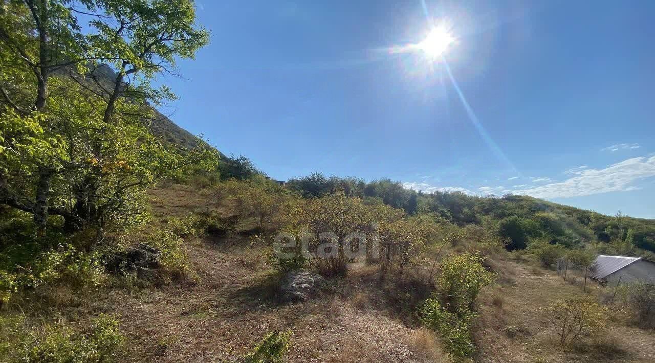 земля г Алушта с Лучистое ул Горная фото 10