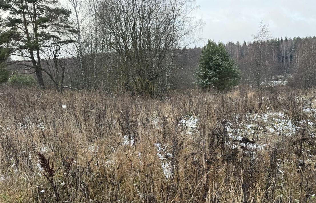 офис городской округ Богородский д Боровково фото 1