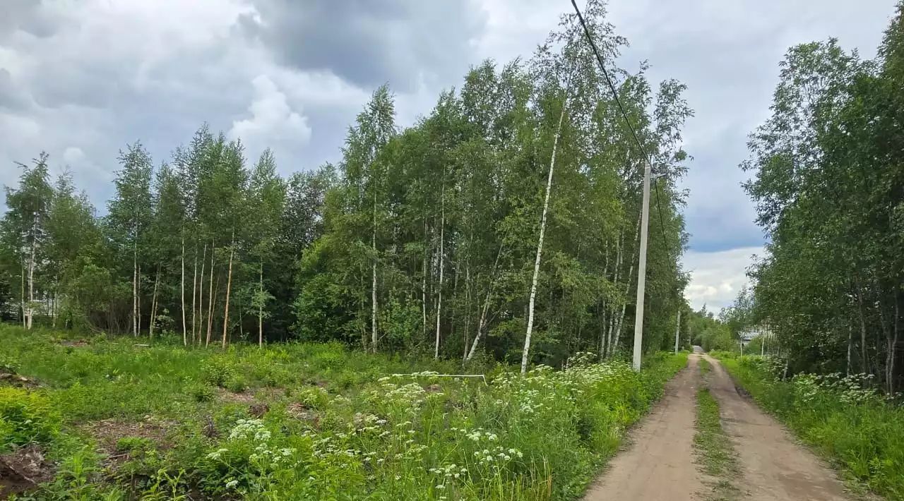 земля р-н Всеволожский п Щеглово ул. Сиреневая фото 1