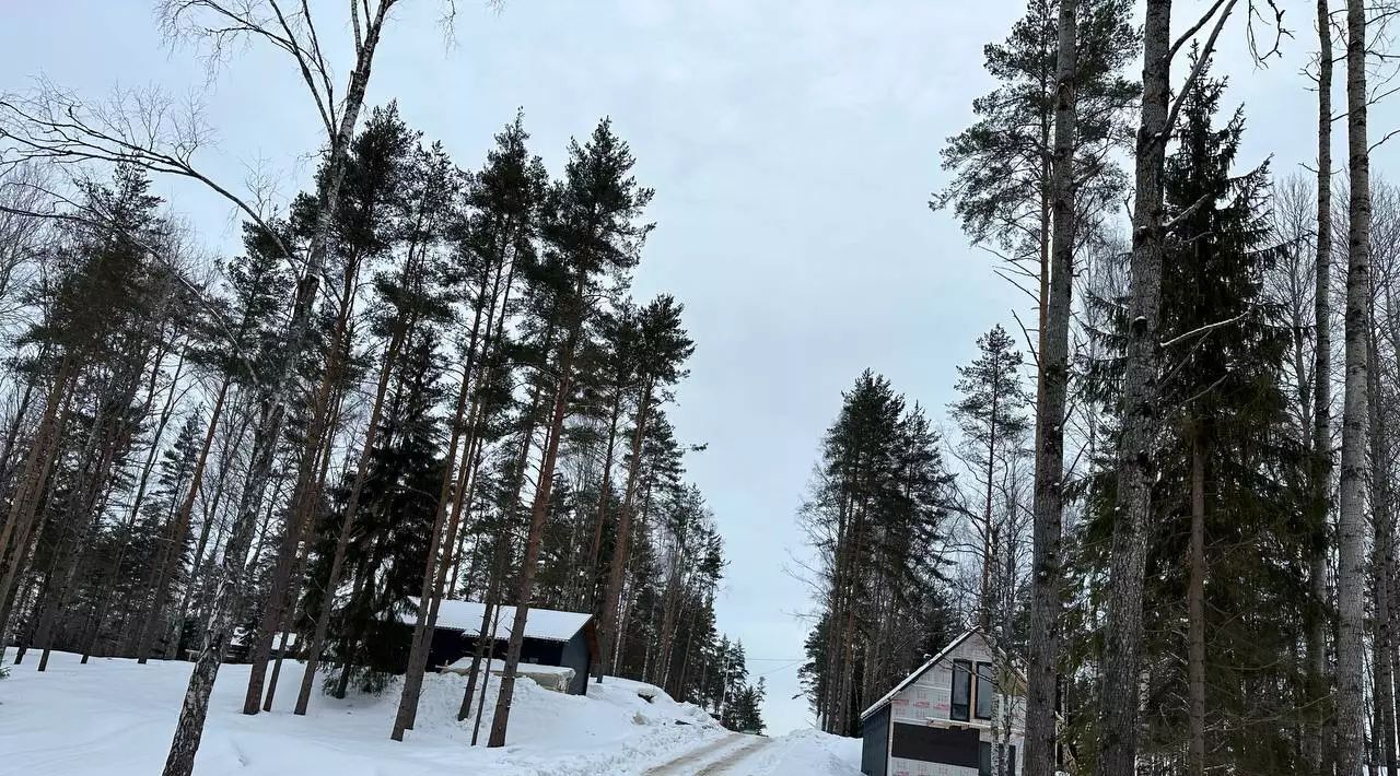 земля р-н Приозерский днп Удальцовские поместья с пос, Запорожское фото 5