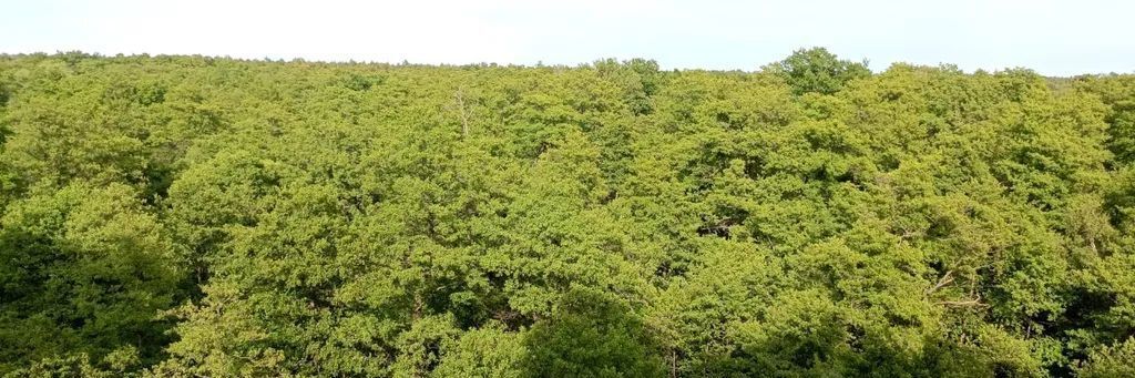 квартира р-н Зеленоградский г Зеленоградск ул Большая Окружная 2бк/2 фото 13