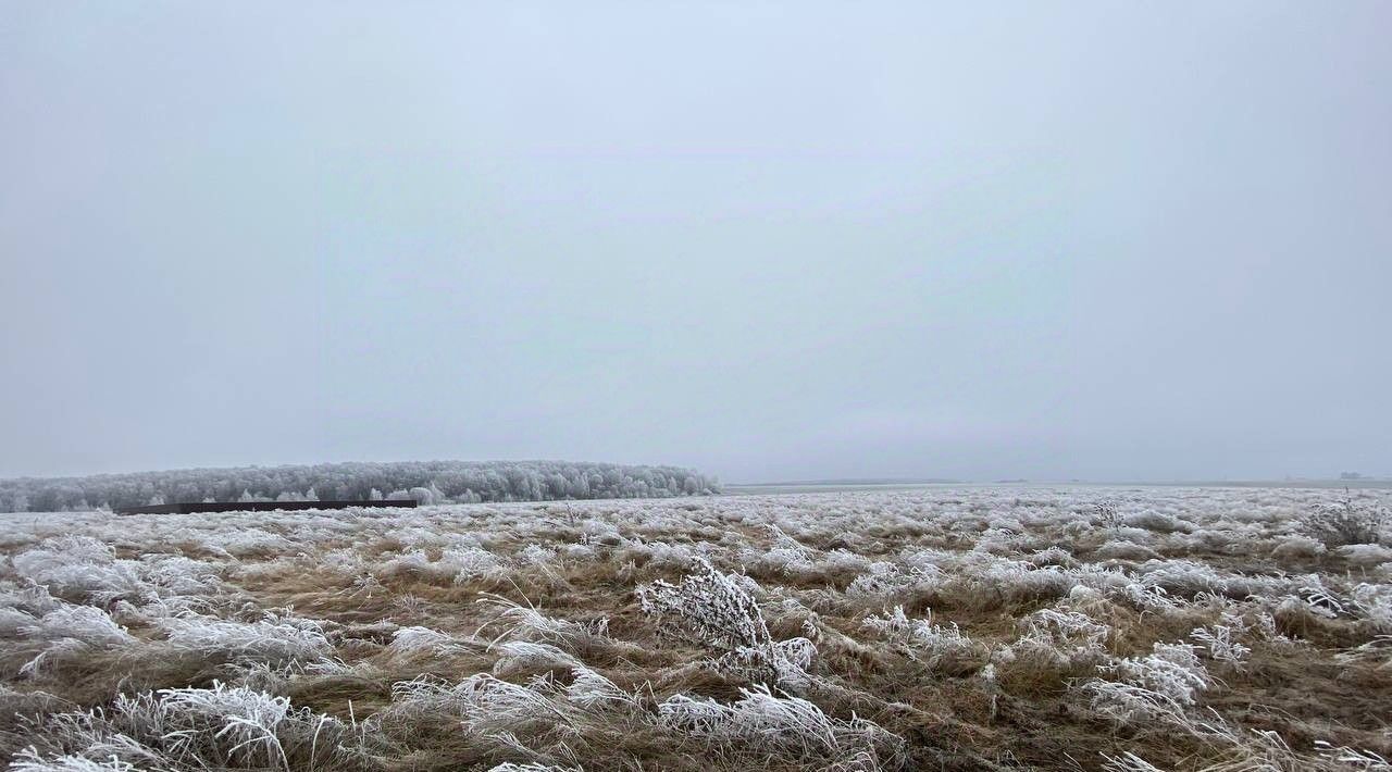 офис городской округ Зарайск ул. Румянцева фото 1