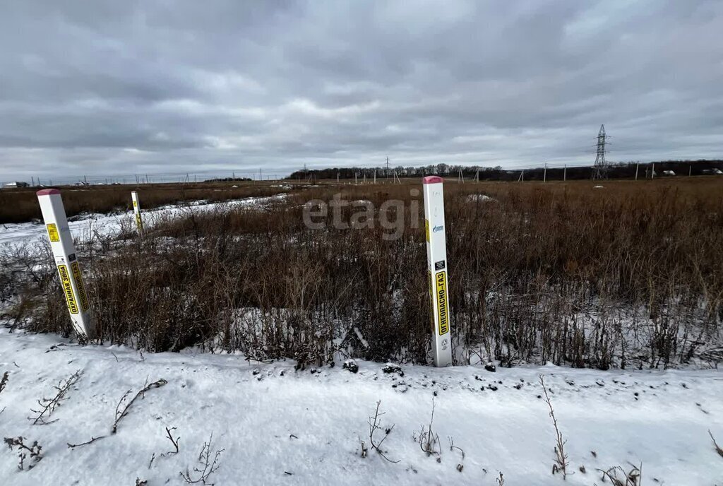 земля р-н Белгородский с Стрелецкое ул Рыжкова фото 4