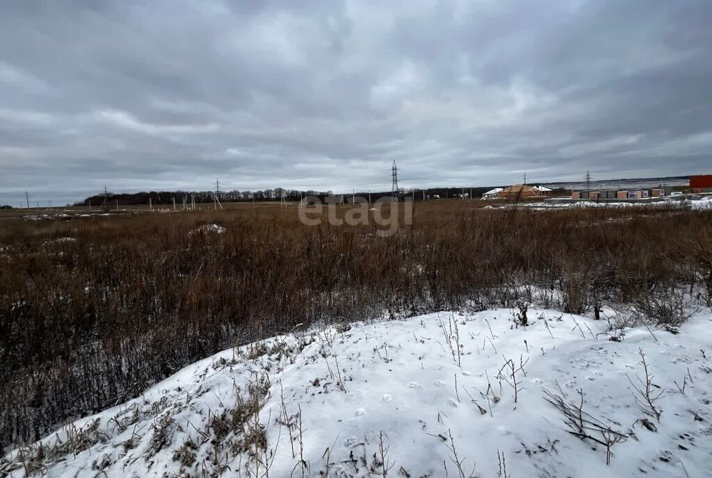 земля р-н Белгородский с Стрелецкое ул Рыжкова фото 5