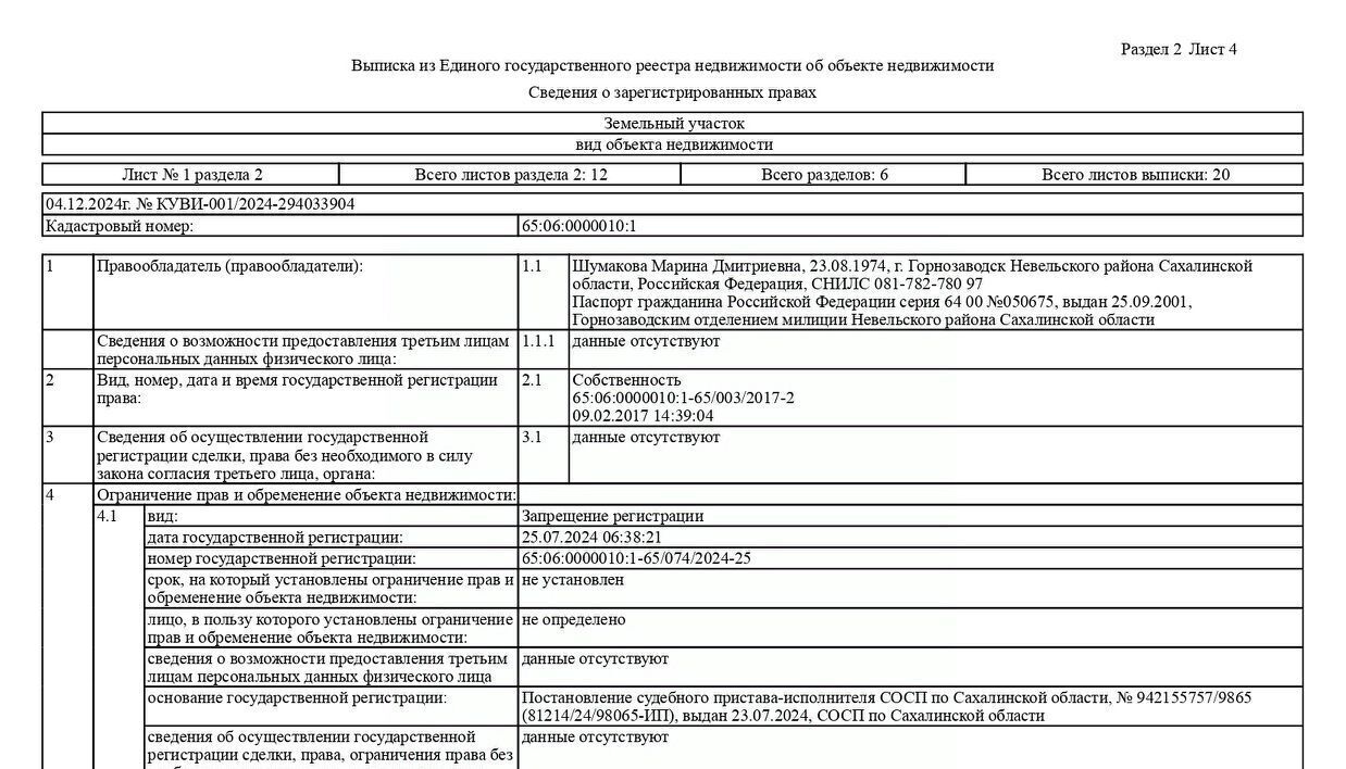 свободного назначения р-н Невельский с Горнозаводск ул Советская 36 Невельский городской округ фото 19