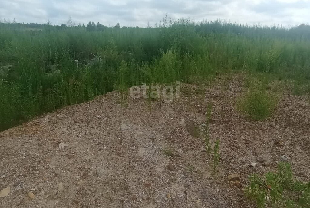 земля р-н Благовещенский с Волково Благовещенский муниципальный округ фото 3