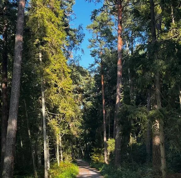 квартира р-н Зеленоградский г Зеленоградск ул Большая Окружная 4а фото 17