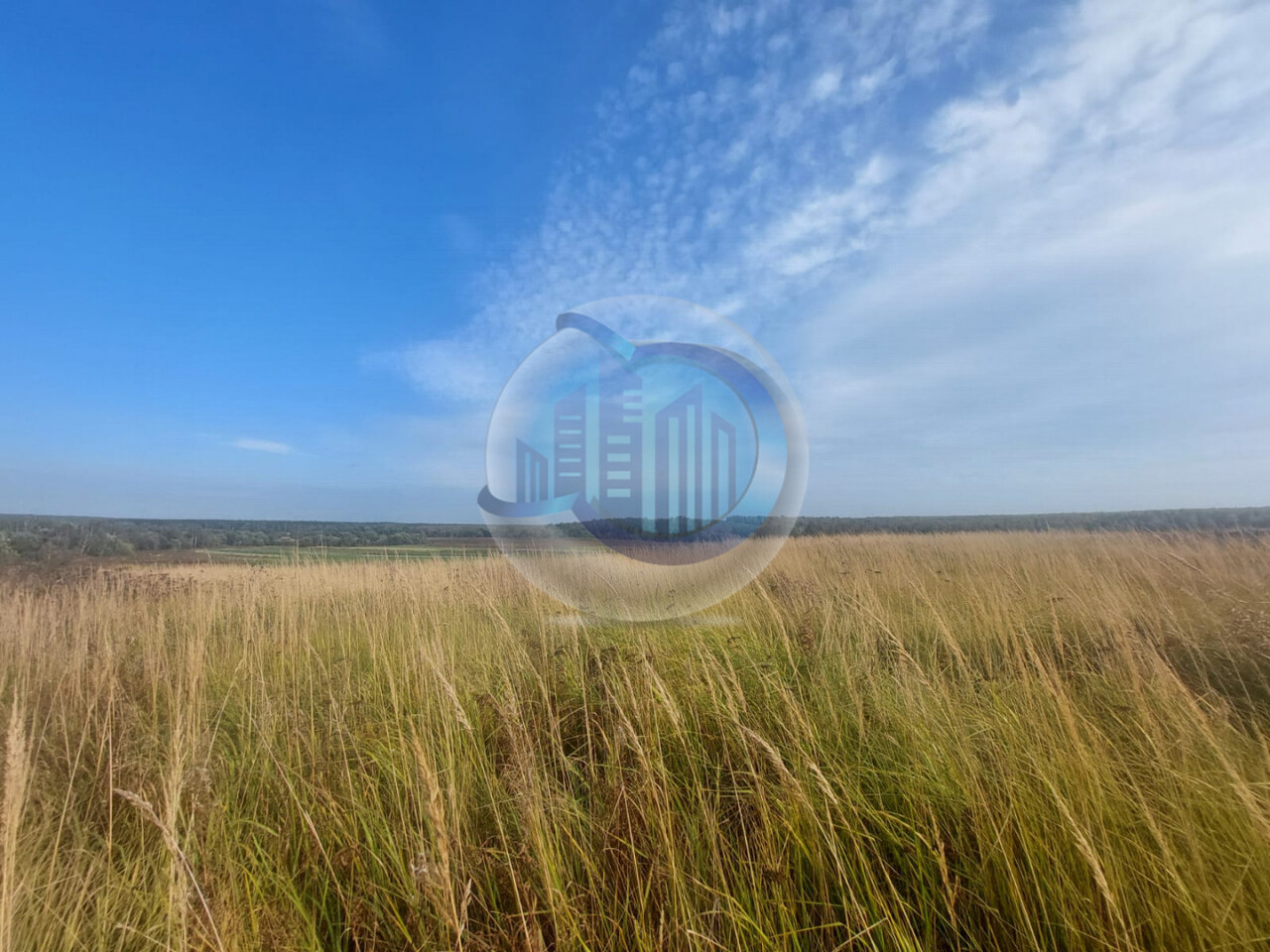 земля городской округ Раменский д Головино фото 10