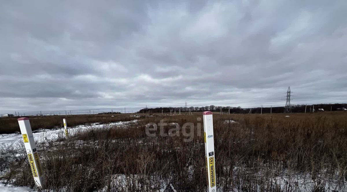 земля р-н Белгородский с Стрелецкое ул Рыжкова 77 фото 4