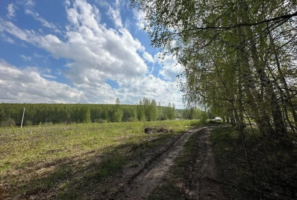 земля р-н Богородский с Афанасьево фото 6