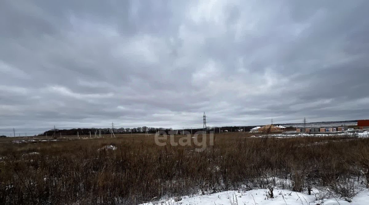 земля р-н Белгородский с Стрелецкое ул Рыжкова 77 фото 5