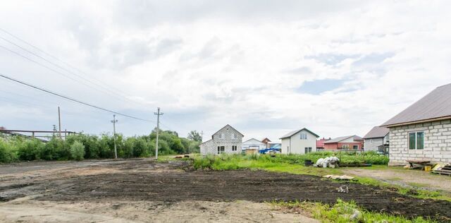 земля сельсовет, ДНТ, Кудряшовский фото