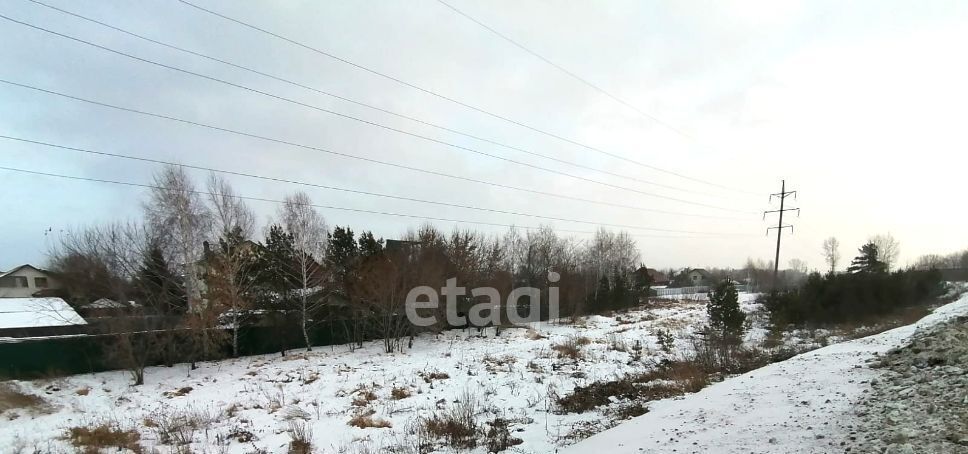 земля р-н Новосибирский п Приобский сельсовет, Кудряшовский фото 1