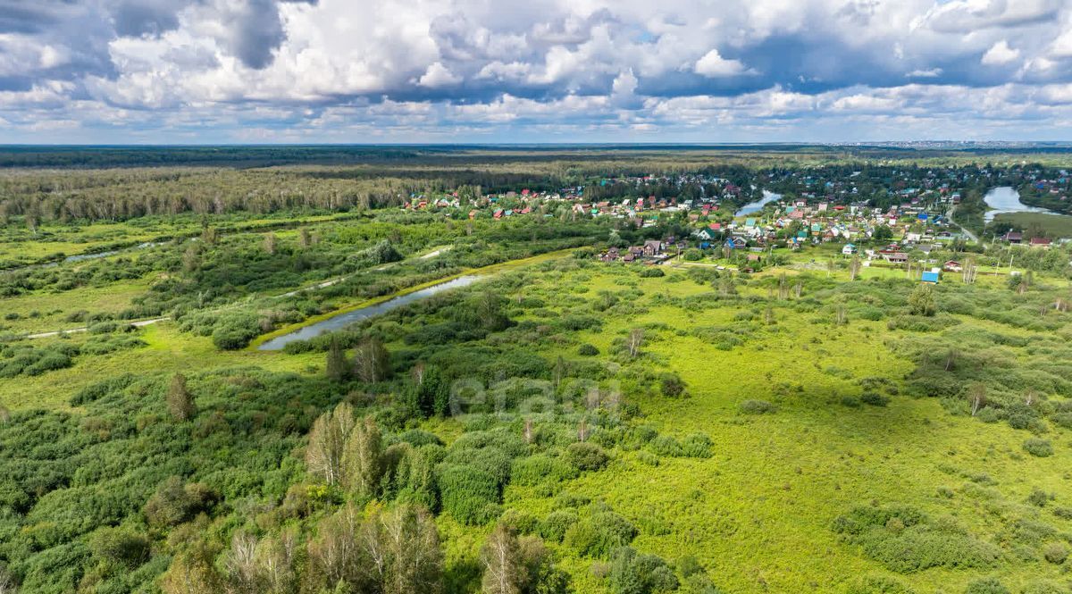 земля р-н Коченевский Лесник СНТ, ул. Сосновая фото 3