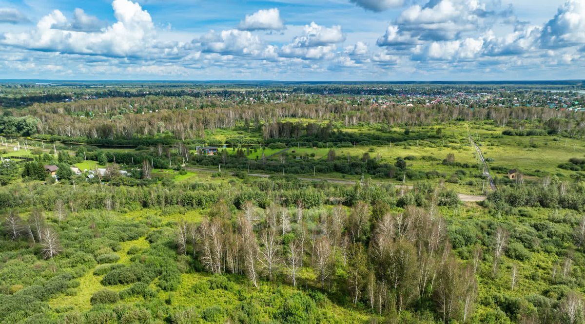 земля р-н Коченевский Лесник СНТ, ул. Сосновая фото 4