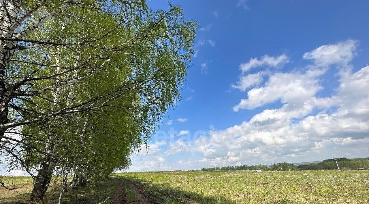 земля р-н Богородский д Килелей фото 2