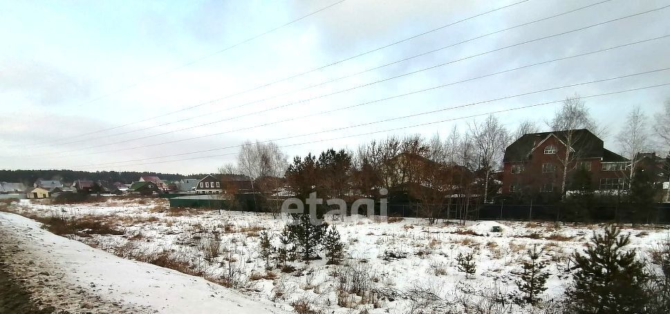 земля р-н Новосибирский п Приобский сельсовет, Кудряшовский фото 15