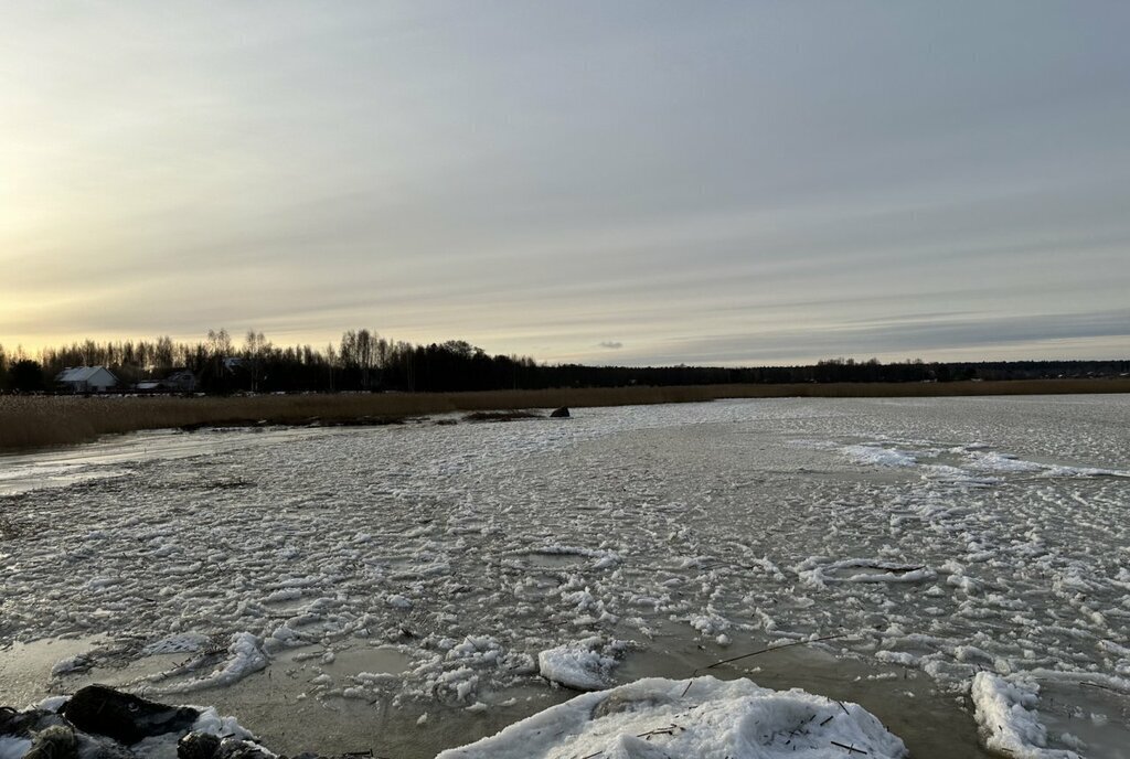 земля р-н Выборгский п Прибылово ул Лебединая Приморское городское поселение фото 4