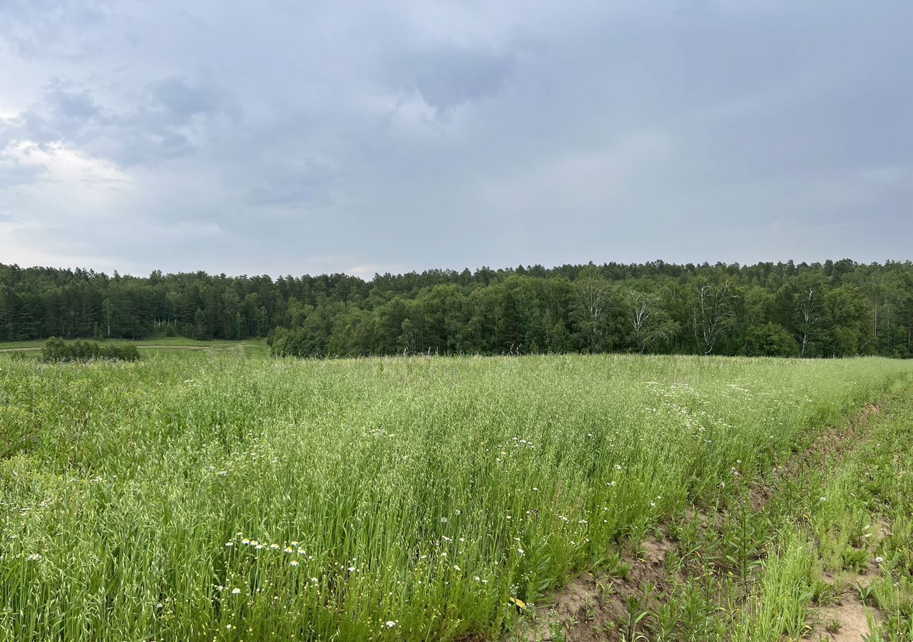 земля р-н Иркутский с Мамоны ул Черемуховая Иркутск фото 3