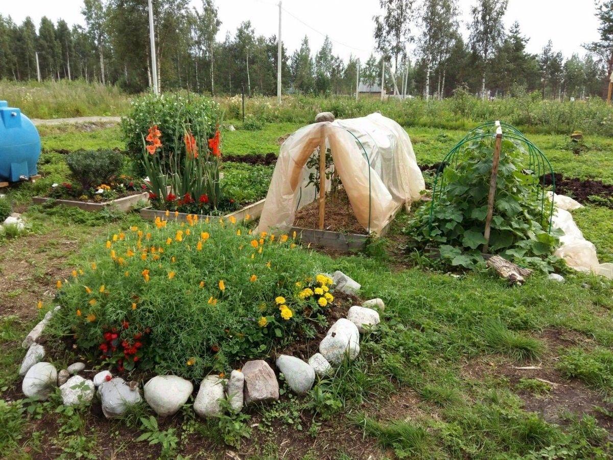 земля р-н Всеволожский Свердловское городское поселение, Моя Семья СНТ, Рыбацкое фото 9