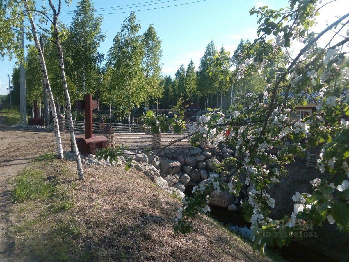 земля р-н Всеволожский Свердловское городское поселение, Моя Семья СНТ, Рыбацкое фото 23