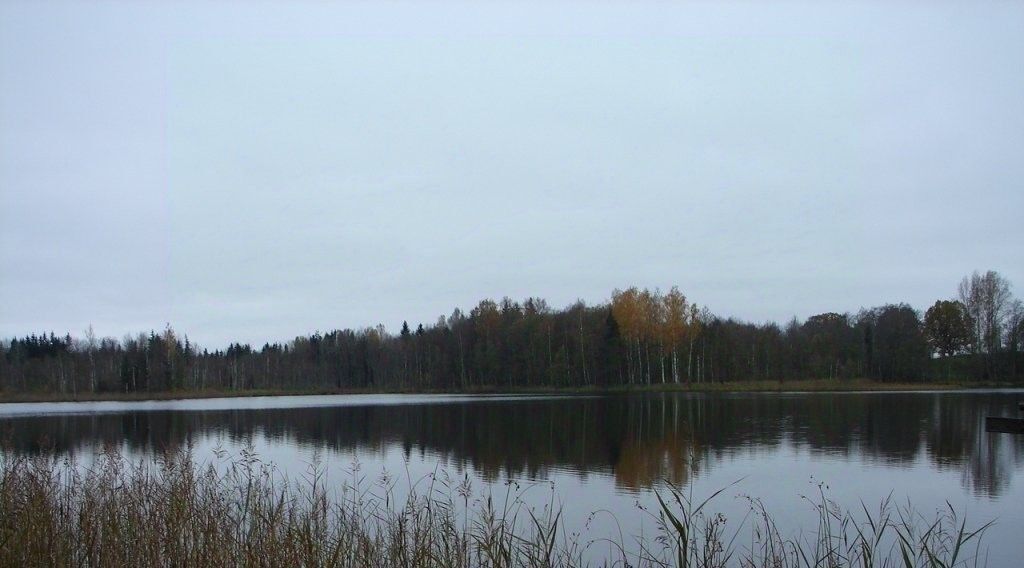 дом р-н Лужский д Белая Горка с пос, Волошовское фото 6