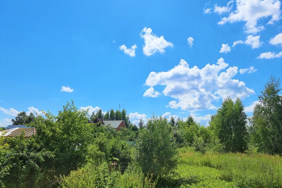 земля городской округ Истра д. Борзые фото 4