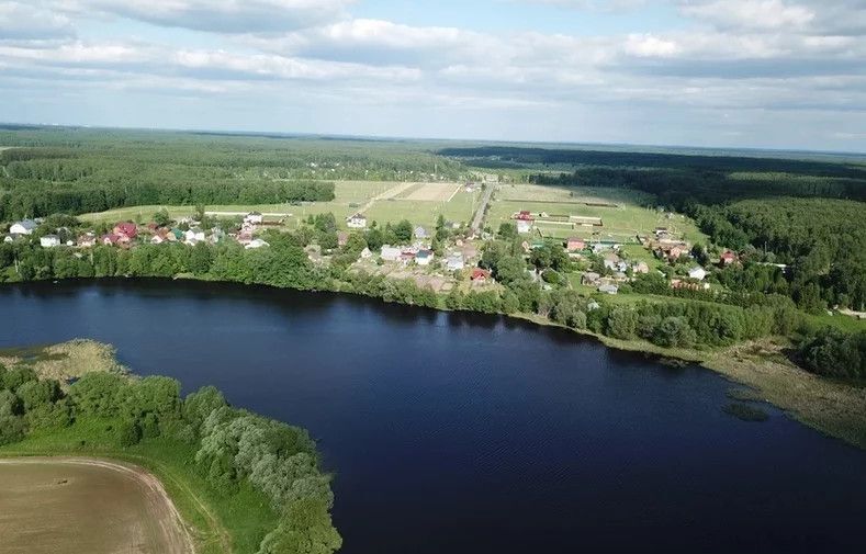 земля городской округ Коломна, коттеджный посёлок Липитино фото 2