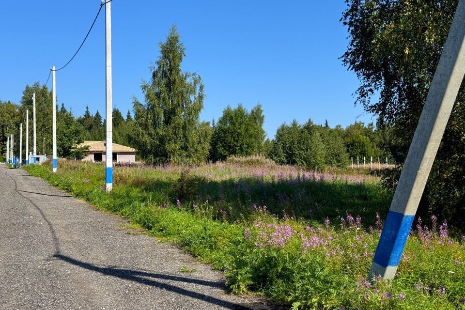 земля городской округ Дмитровский фото 1