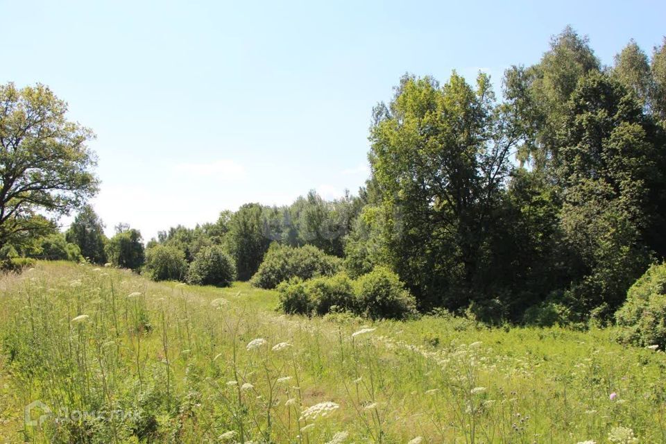 земля городской округ Богородский СНТ Вечерняя Москва фото 1