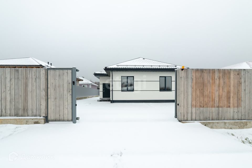 дом 113, Домодедово городской округ, Мирный фото 1