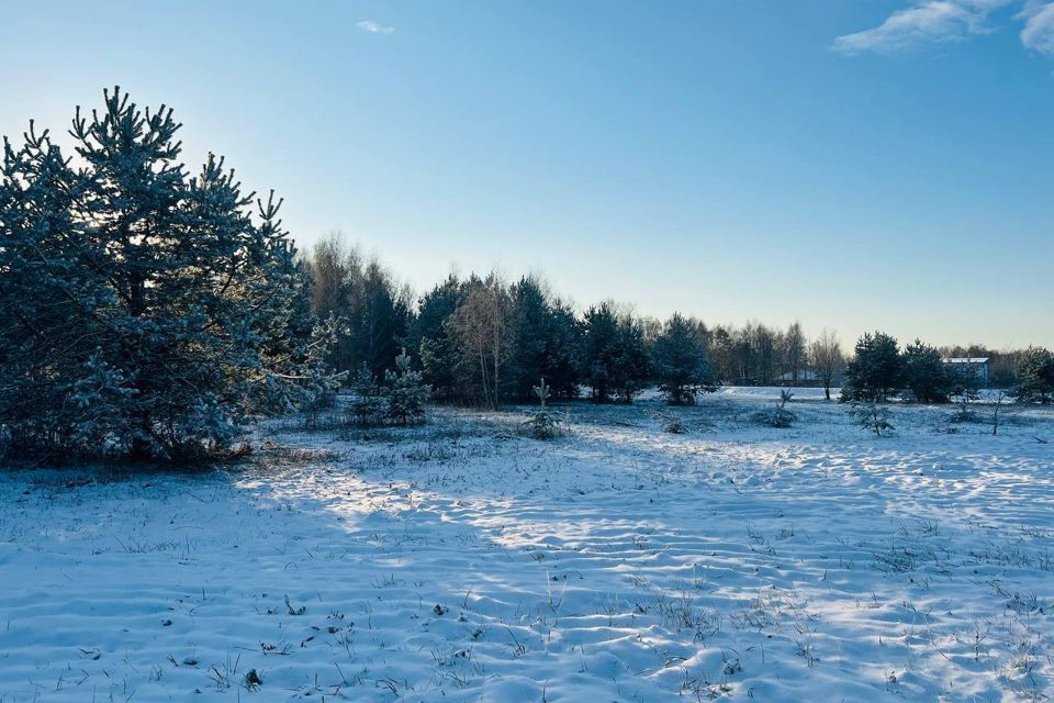 земля городской округ Подольск д. Пузиково фото 3