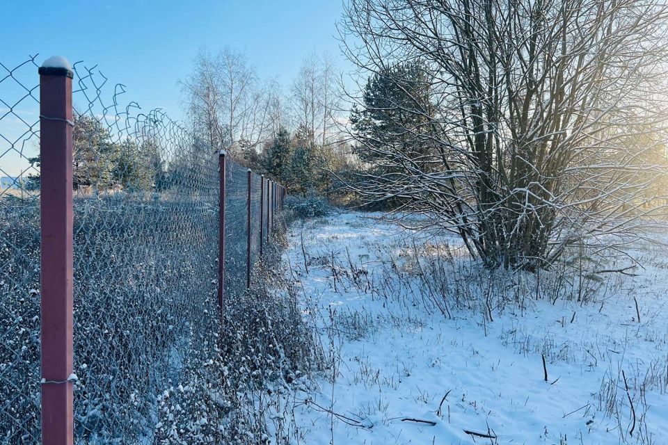 земля городской округ Подольск д. Пузиково фото 4