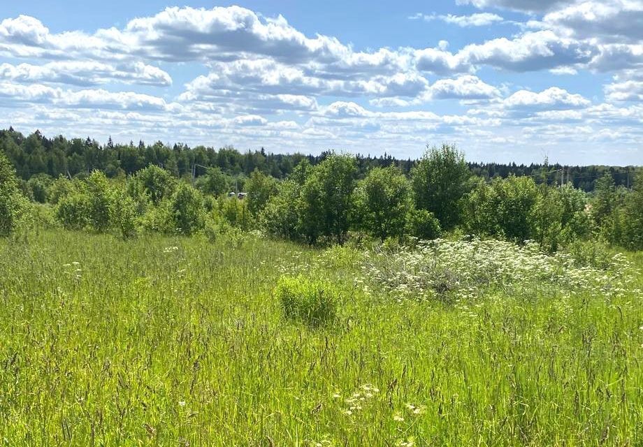 земля городской округ Дмитровский Коттеджный посёлок Морозовский Уезд фото 1