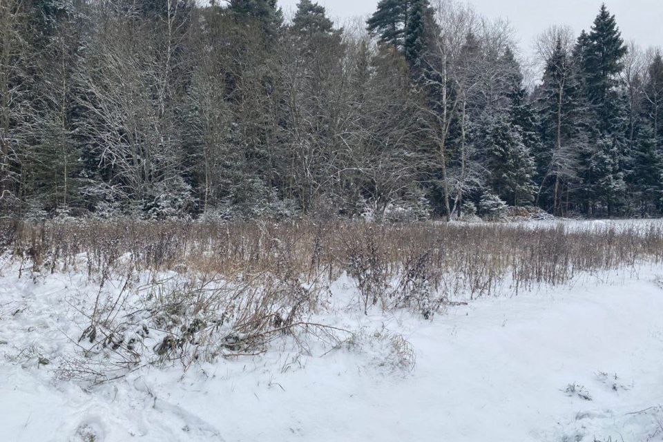 земля городской округ Наро-Фоминский д Тёрновка ул Летняя 11 фото 3