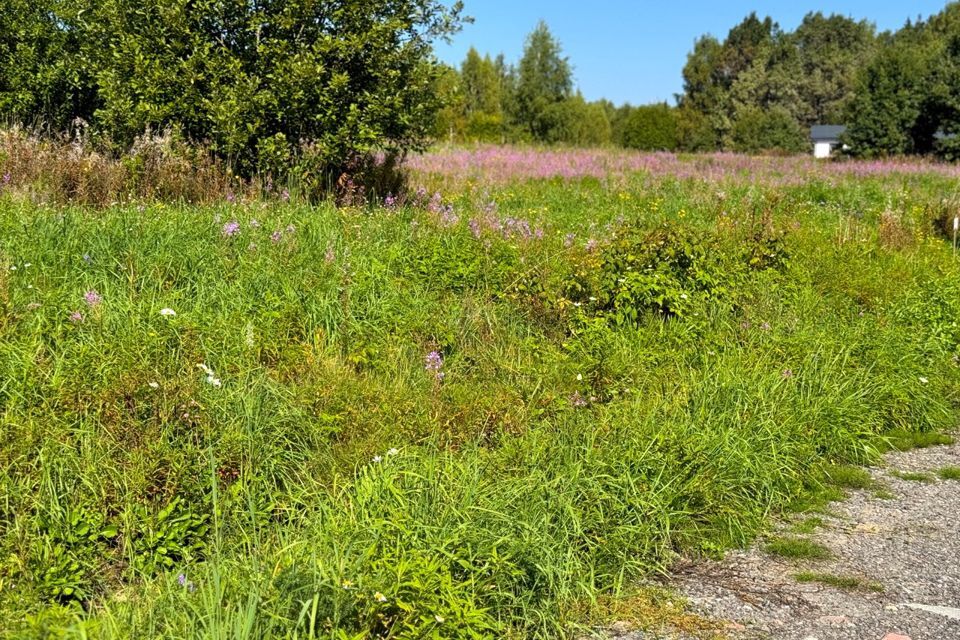 земля городской округ Дмитровский фото 3