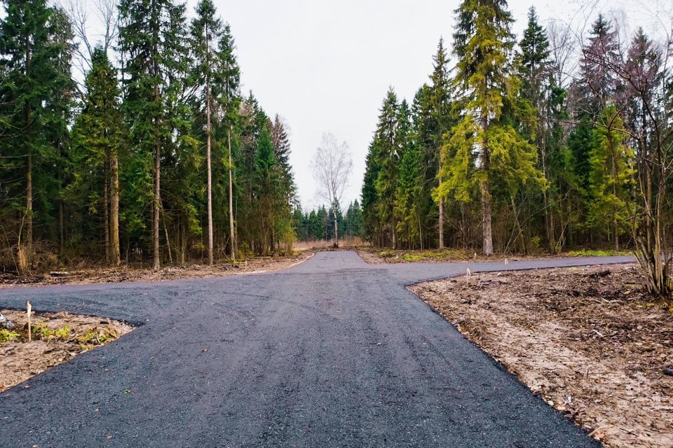 земля городской округ Дмитровский д Бабаиха Для друзей фото 1