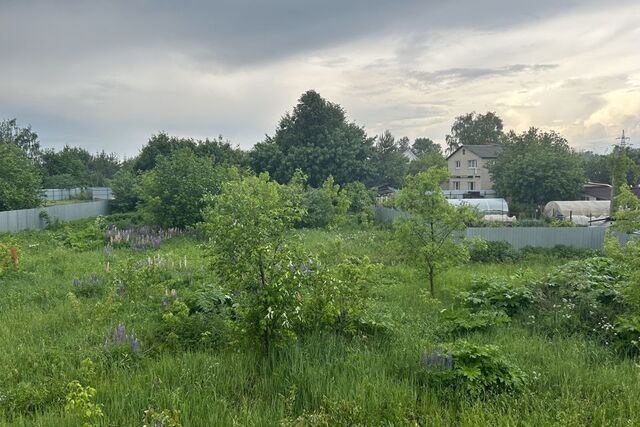 Лосино-Петровский городской округ, с. Анискино фото