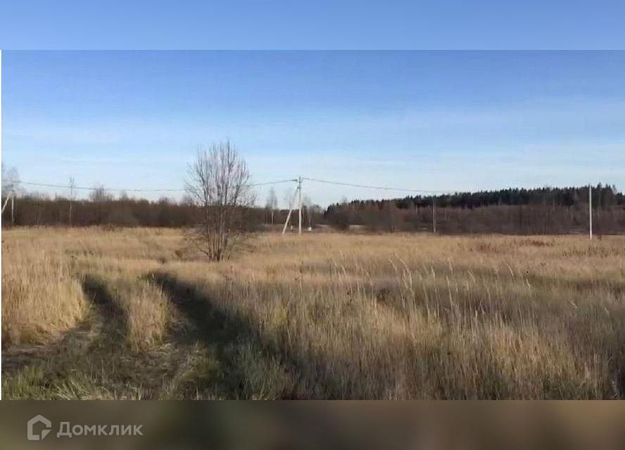 земля городской округ Шаховская д. Репотино фото 1