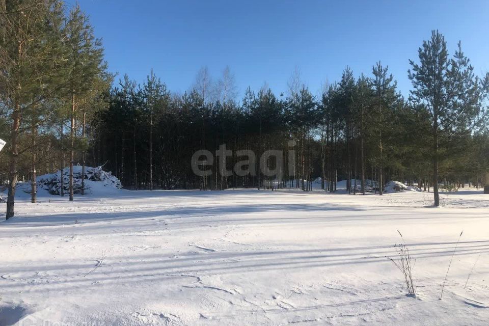 земля городской округ Раменский ИЖС Дергаево, Николая Фетисова улица фото 2