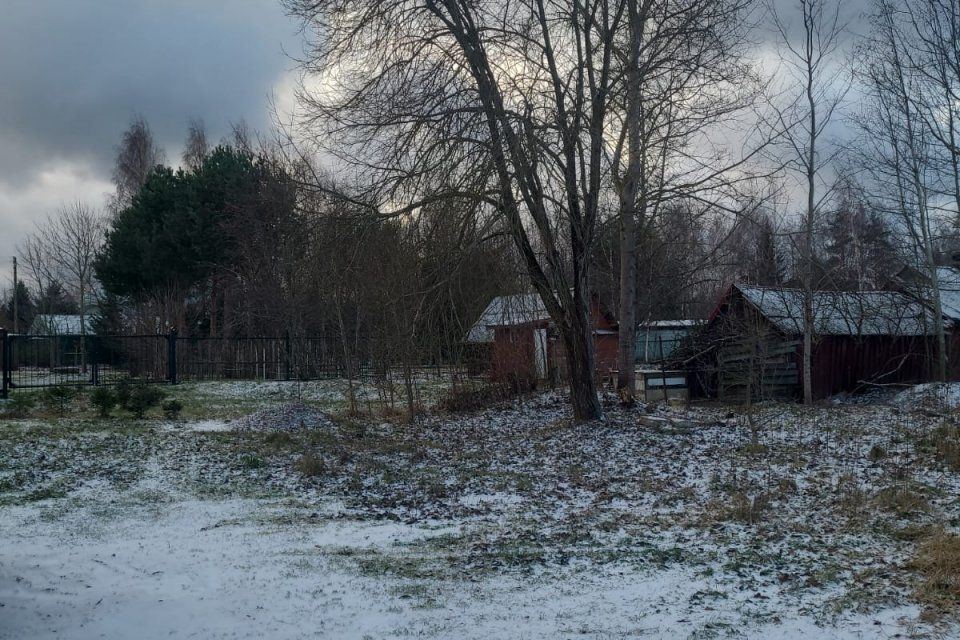 земля р-н Ломоносовский городской пос. Лебяжье фото 3