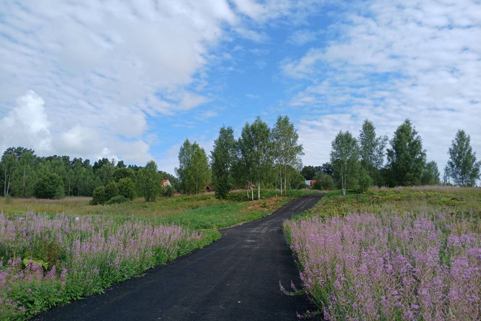 земля городской округ Дмитровский д. Ваньково фото 4