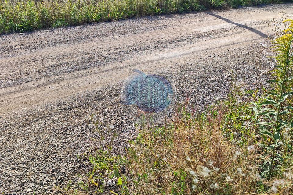 земля городской округ Домодедово д. Ивановка фото 4