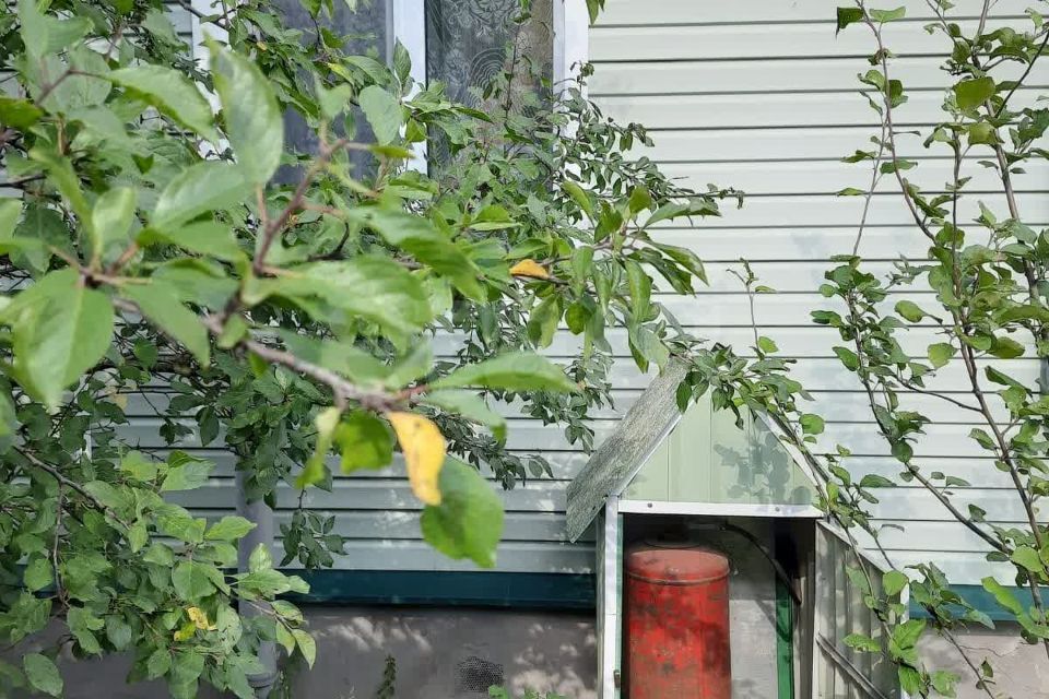 дом городской округ Богородский 4, СТ Дружба фото 9