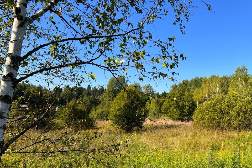 земля городской округ Дмитровский д. Шадрино фото 10